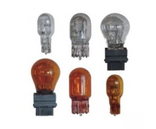 Bulbs
