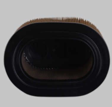 Air Filter PA8219