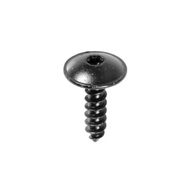 Torx Truss Head Tapping Screw    (25 per pack)