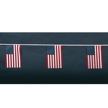 American String Pennants (Cloth)