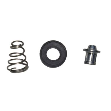 Repair Kit - Valve, Washer And Spring - 1/4-inch