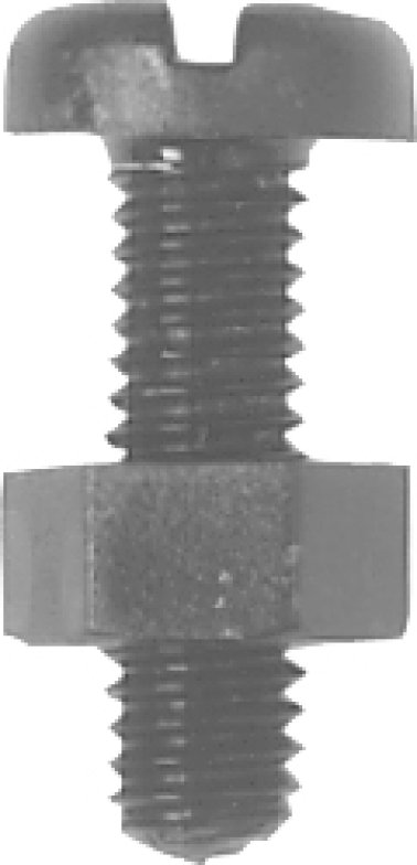 Slotted Pan Head License Plate Screw and Nut - M6-1.0 Diameter; 20mm Length (100 per pack)