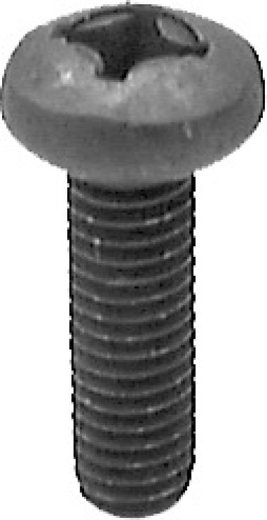 Phillips Pan Head License Plate Screw Black Finish    (50 per pack)