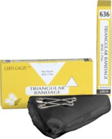 636 - One Triangular Bandage with 2 Pins = 1/unit (Pack of 1)