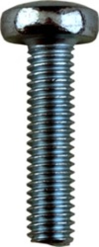 License Plate Screw, M6, x 25mm, Steel, Phillips (Pack of 50)