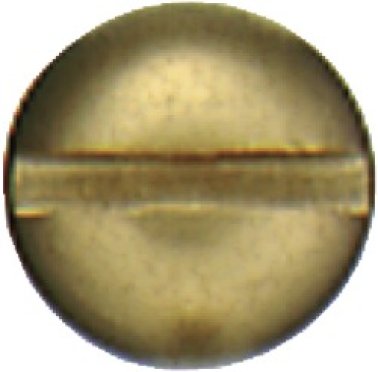 Wood Screw, Slotted Round Head, Brass, Zinc Finish, Sharp Point, #8 x 5/8" (Pack of 100)