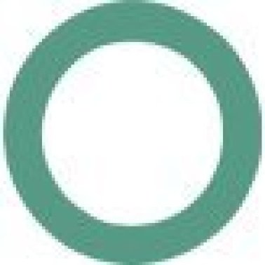 Air Conditioning O-Ring for GM, Matsushita S1150X3, HNBR, Green (Pack of 10)