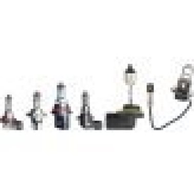 Halogen Bulbs (S) (Pack of 1)