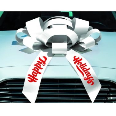 Giant Magnetic Car Bows