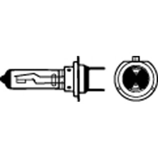 Bulb-12V Miniature Wedge-Base Type 500/1 000 Life Hours 35/2.8 Candlepower Industry Designation/Number -7443NA (10 per pack)