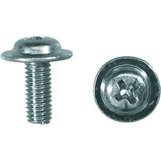Phillips Pan Washer Head License Plate Screw - M5-0.8 Diameter 8mm Length (100 per pack)