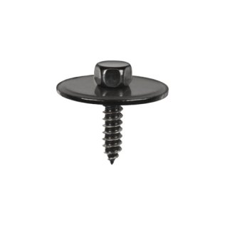 Front Bumper and Moulding Strip Hex Head Sems (25 per pack)