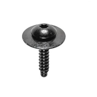 GM TORX PAN HD SEMS TAP SCREW W/ DOG PNT (50 per pack)