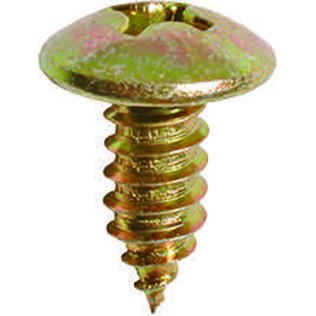 Phillips Truss Head License Plate Screw - M6-1.81 Diameter; 15mm Length (50 per pack)
