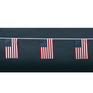 American String Pennants (Cloth)