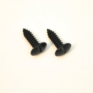 License Plate Screws (100 per pack)