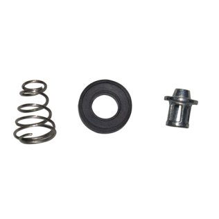 Repair Kit - Valve, Washer And Spring - 1/4-inch