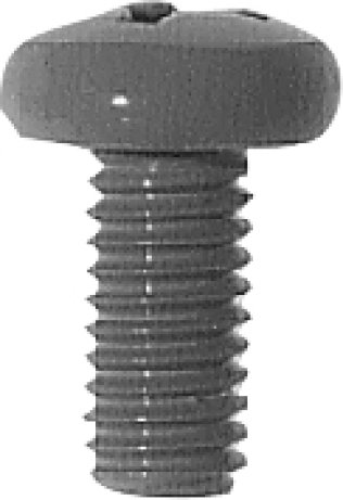 Phillips Pan Head License Plate Screw - M6-1.0 Diameter; 12mm Length (50 per pack)