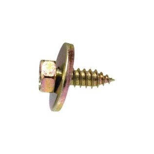 Indented Hex Head Self-Tapping Screw with 22mm Washer (50 per pack)