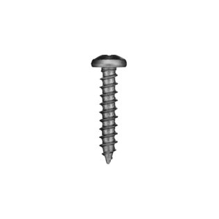 Phillips Pan Head Sheet Metal Screw (100 per pack)