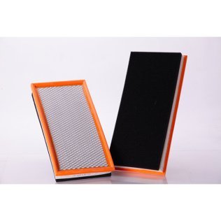 Air Filter PA5089
