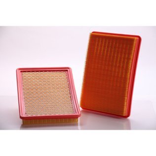 Air Filter PA5513