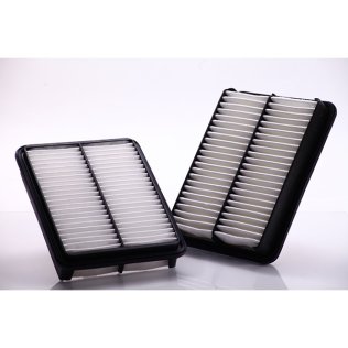 Air Filter PA5589
