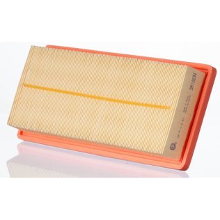 Air Filter PA5825