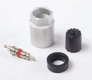 Transmitter Service Kit With Long Stem - Buick, Cadillac, Chryser and Isuzu (10 per pack)