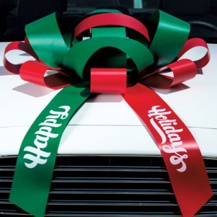 Red-Green Happy Holidays