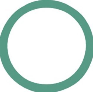Air Conditioning O-Ring for GM/Ford, HNBR, Green (Pack of 10)