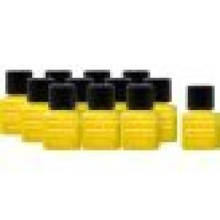 LeakFinder® - Universal A/C Dye 1/4oz 12 Pack (Pack of 12)