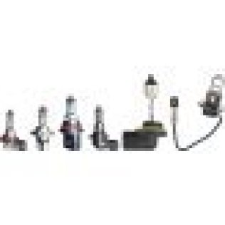 Halogen Bulbs (S) (Pack of 1)