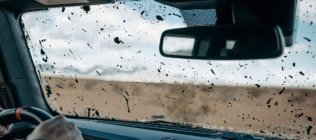 Windshield Protection Film (48"x50')