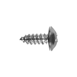 Wheel House Moulding Phillips Washer Head Tapping Screw (100 per pack)