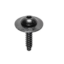 GM TORX PAN HD SEMS TAP SCREW W/ DOG PNT (50 per pack)
