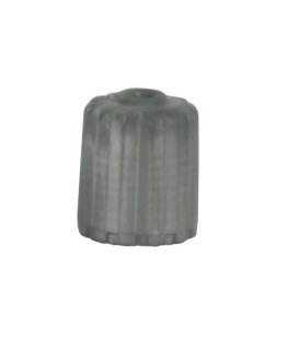 20395 TPMS Plastic Cap - (Sold Individually)