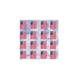 American String Pennants (Polyethylene)