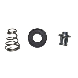 Repair Kit - Valve, Washer And Spring - 1/4-inch