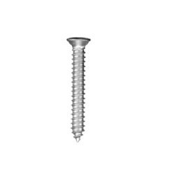 Self-Tapping Phillips Oval Head Screw (100 per pack)