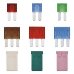 MICRO2®/MICRO3®/MCASE™ Fuse Assortment (Pack of 1)
