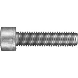 Socket Head Cap Screw, 18-8 Stainless Steel, Plain Finish, Coarse Thread, 3/16" Hex Key, 1/4-20 x 1/2" (Pack of 25)