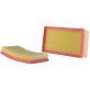 Air Filter PA9918