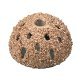 2” Vented Cup Rasp 60 Grit (3/8” Arbor Hole)