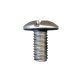 License Plate Screw (50 per pack)