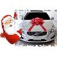 Giant Magnetic Car Bows