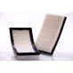 Air Filter PA5421