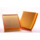 Air Filter PA5539